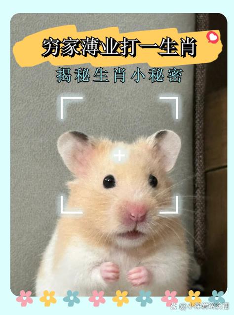 将命染黄沙是哪个生肖？黄河打一生肖怎么？