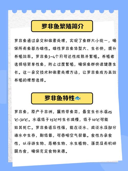 罗非鱼究竟算不算是风水鱼呢？这其中的奥秘又是什么呢？