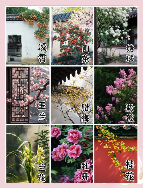 后院种花对风水学有什么好处吗？