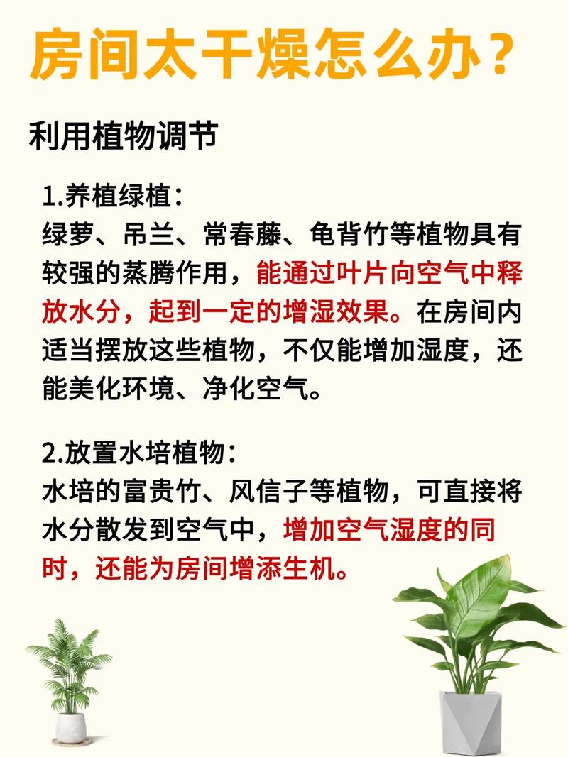 加湿器对家居风水有影响吗？如何通过调整风水改善室内湿度？