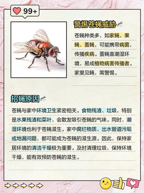 苍蝇成群聚集是否会对家居风水产生不良影响？