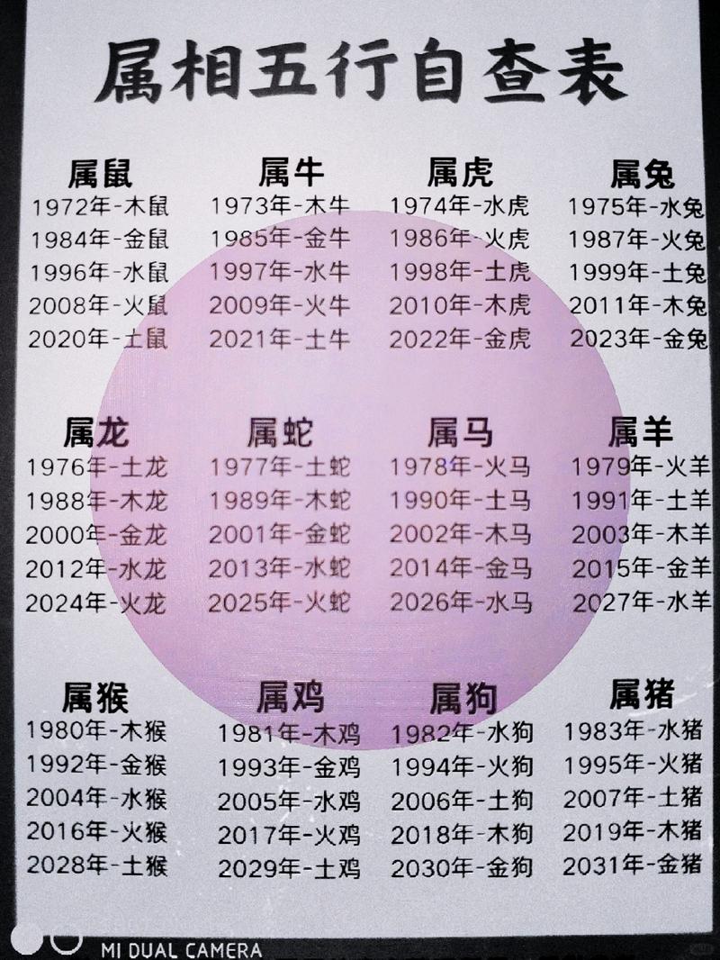 农历1962年是什么命？木命又是哪一年出生的人？
