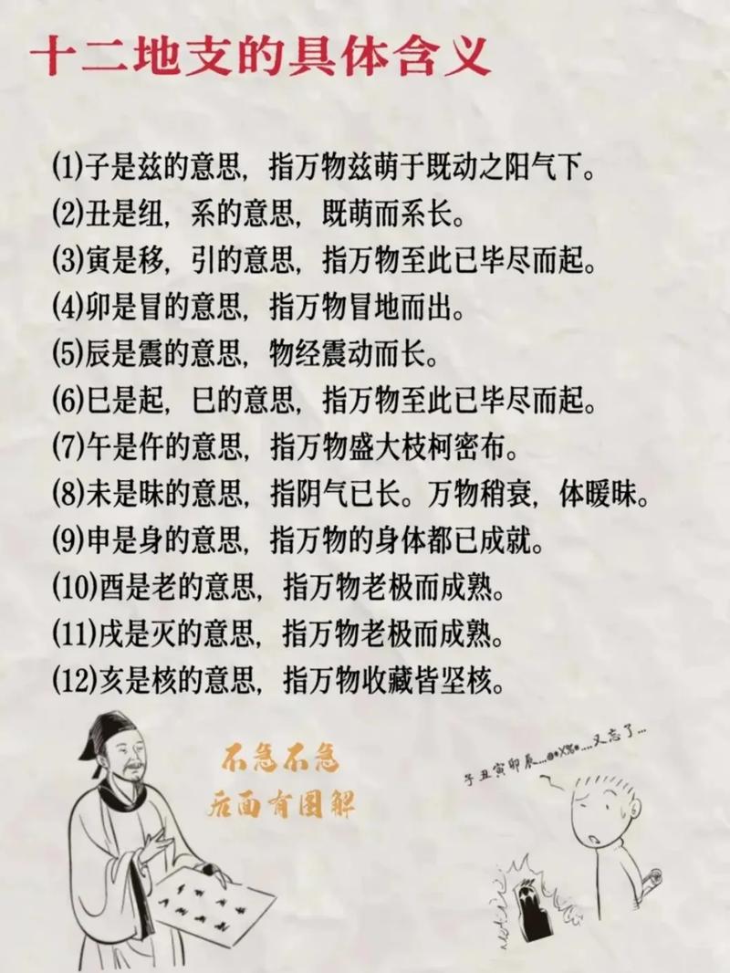 命理学中哪些生肖对应哪些地支？