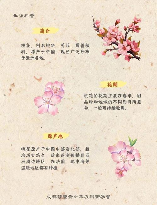 命里带活桃花是什么意思？普通人命里一般有几朵桃花？