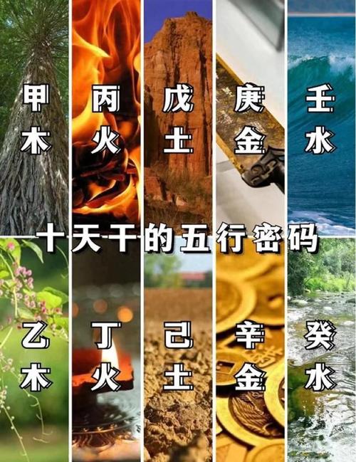 戊午戊辰命与甲木戊土结合，哪种命蕞好？
