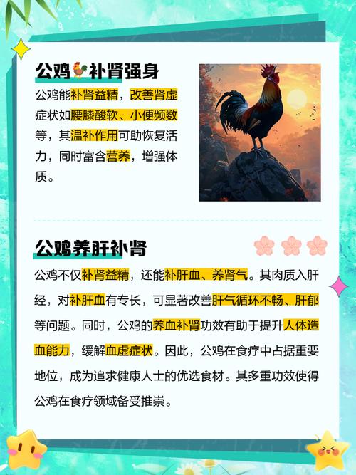 正房后养鸡会对家庭风水产生怎样的不利影响呢？