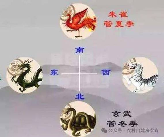 在风水布局中，白虎位种树是否合适呢？