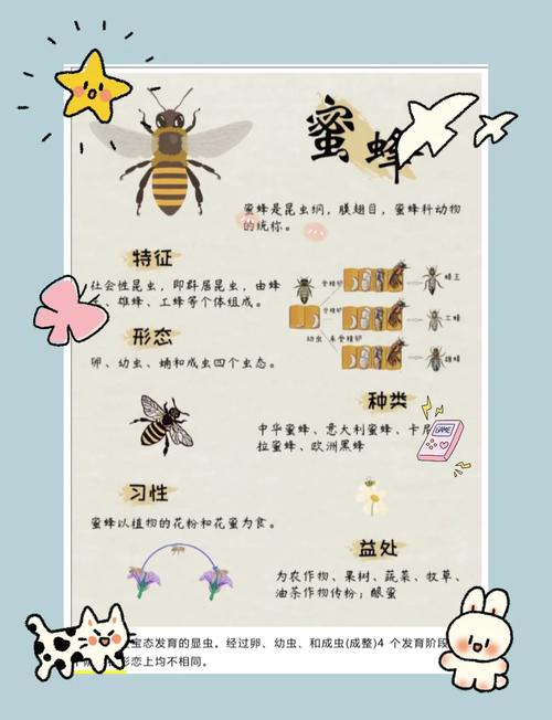 养蜜蜂与风水之间是否存在某种关联？