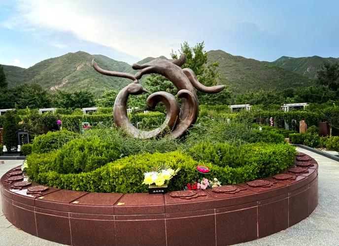 墓地适合种植松柏木的位置在哪里？