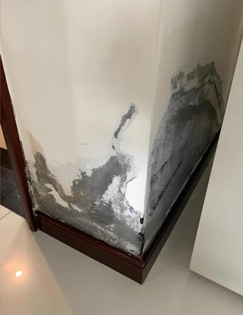 下水管漏水是否会对家居风水产生不良影响？