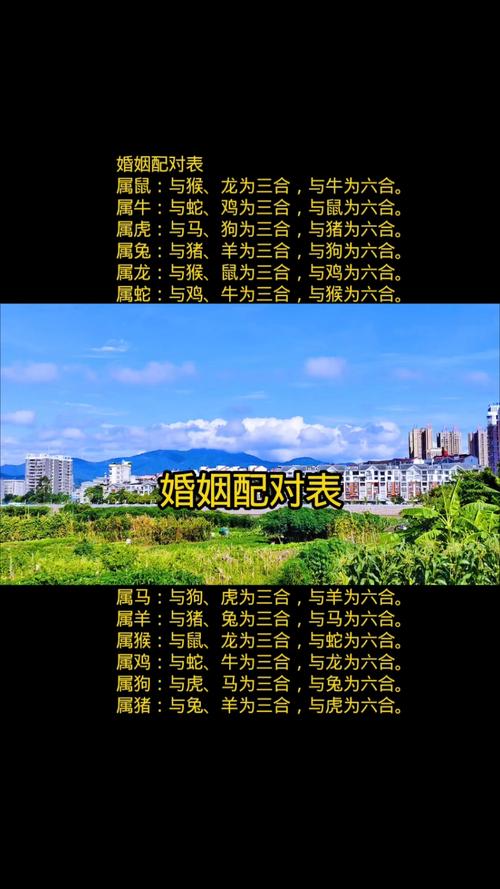 两个大林木命夫妻的婚姻是否和谐，适合与哪种命理相配？