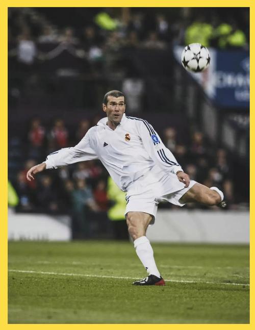 齐达内为何在足球领域成就非凡，命运如此多舛？