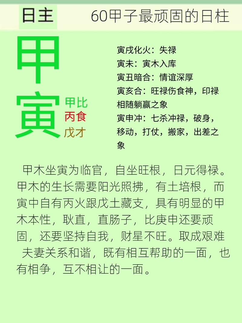 月柱甲寅时柱甲寅，命理中代表什么特质或运势？