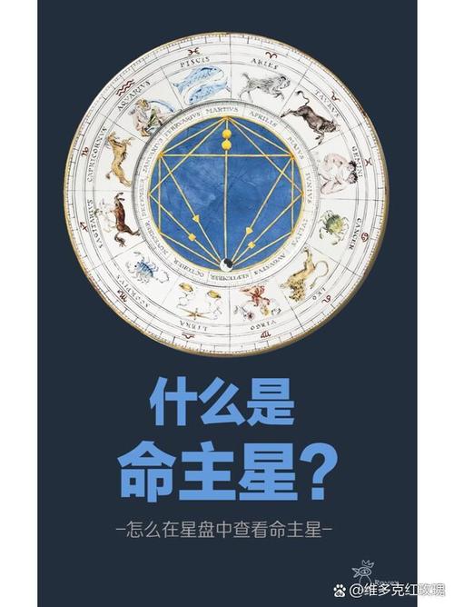 除了星辰命，还有什么叫Zuo命之星的别称或相关概念？