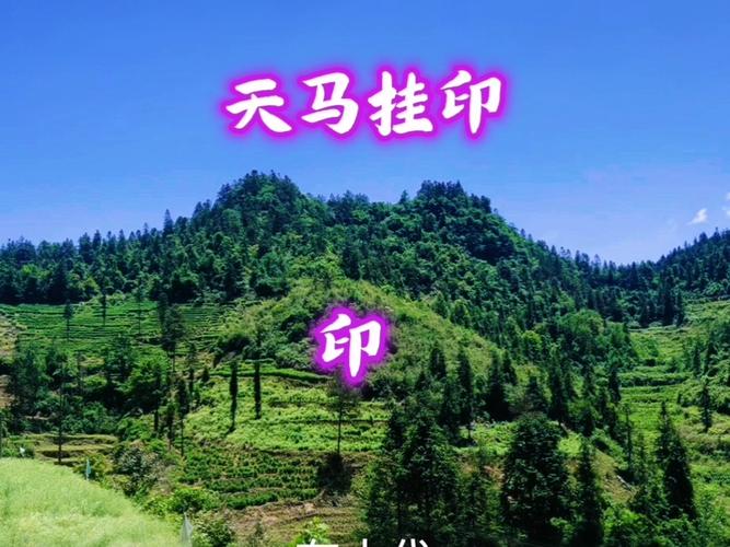 阳宅风水朝山是否会有天马这样的吉祥景观？