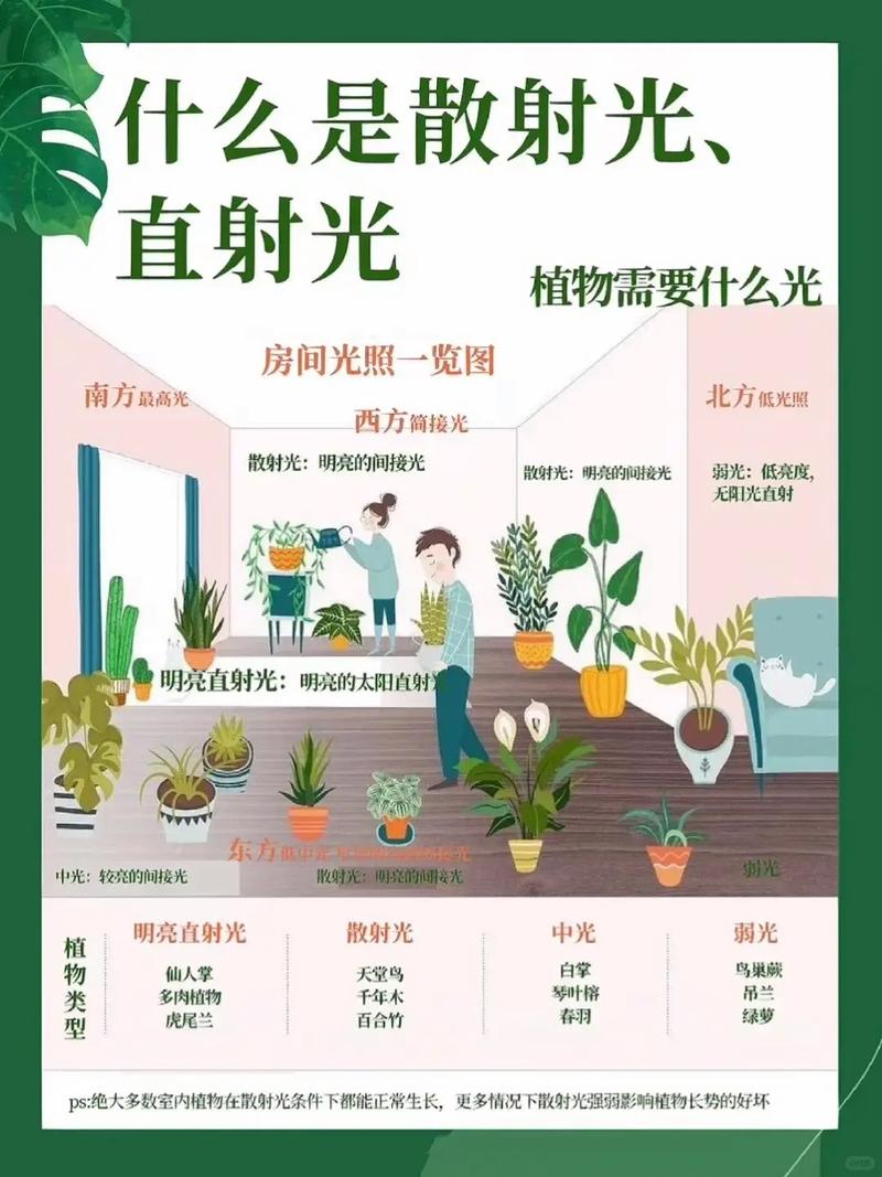 好风水是否一定要有充足的阳光照射？