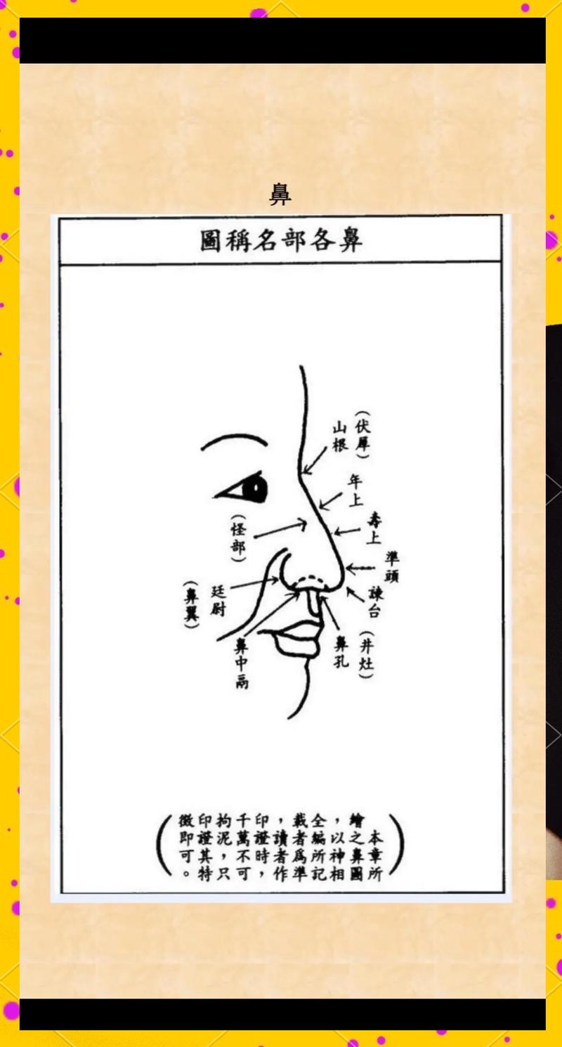 短鼻子男人命运如何，其面相意味着什么？