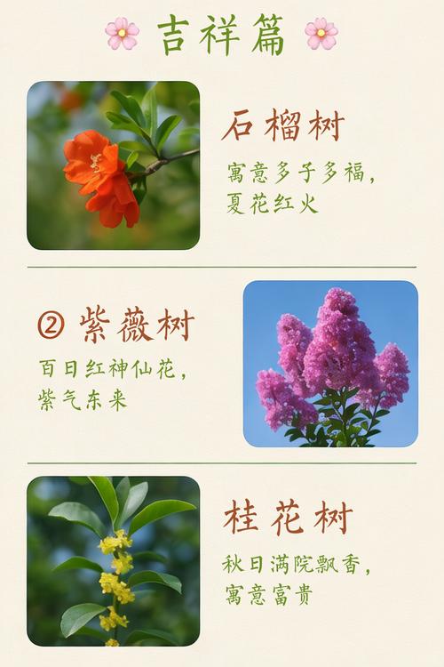 家里种植构树会对风水产生怎样的影响呢？