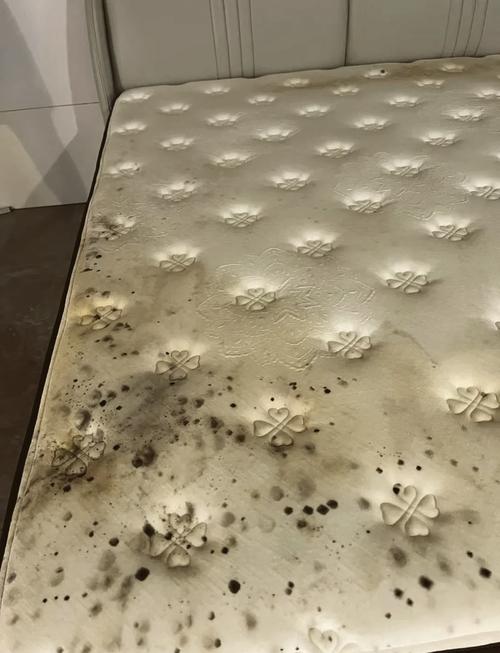 床底发霉会对家居风水产生怎样的不良影响呢？