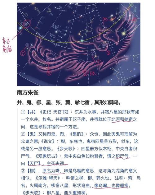 应龙之命和青龙命格分别是什么命理？
