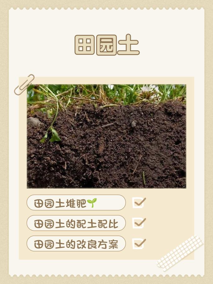 田园土命适合哪些工作？六种土命中哪种土最适合改行？