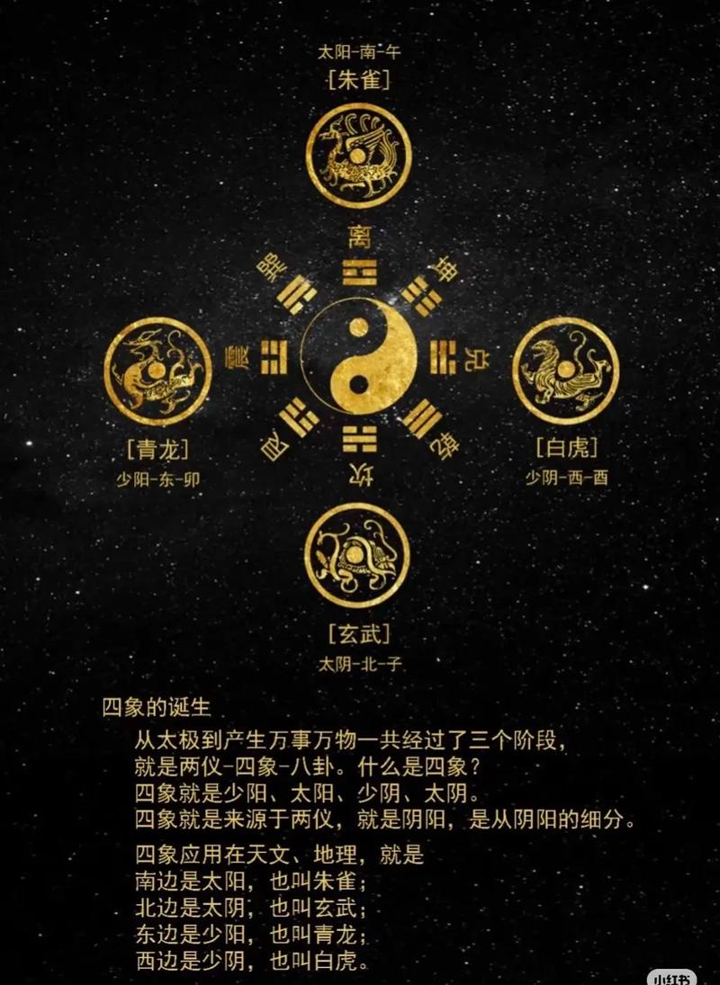 易经风水摆放四只小黄鸭有什么讲究或寓意吗？