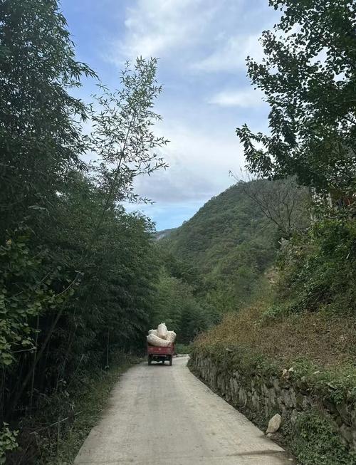 猪圈的位置或布局真的会对家宅风水产生重大影响吗？