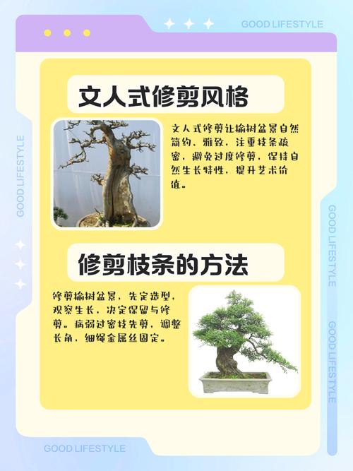 榆树修剪去掉树头会对家宅风水产生什么影响？