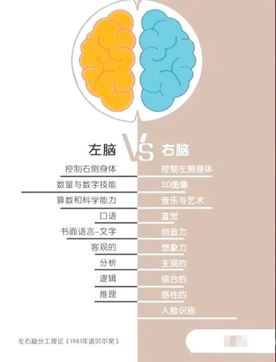 人的智商和命运之间有什么关联？