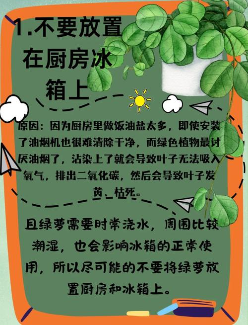 房间摆放绿萝对风水有好处吗？