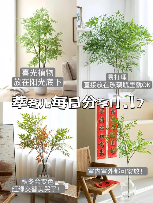 风水学中，竹树对住宅起到保护作用吗？