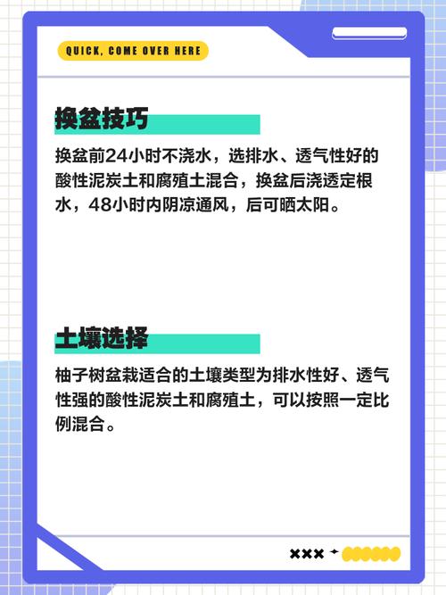 阳台种植柚子有哪些风水讲究和禁忌需要注意？