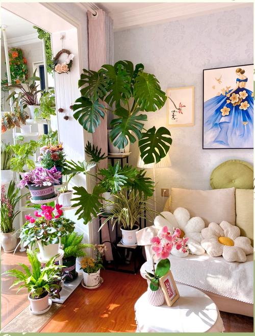 家里摆放花卉会影响风水布局吗？