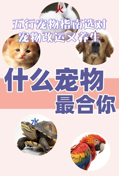 五行属水的宠物适合养什么？