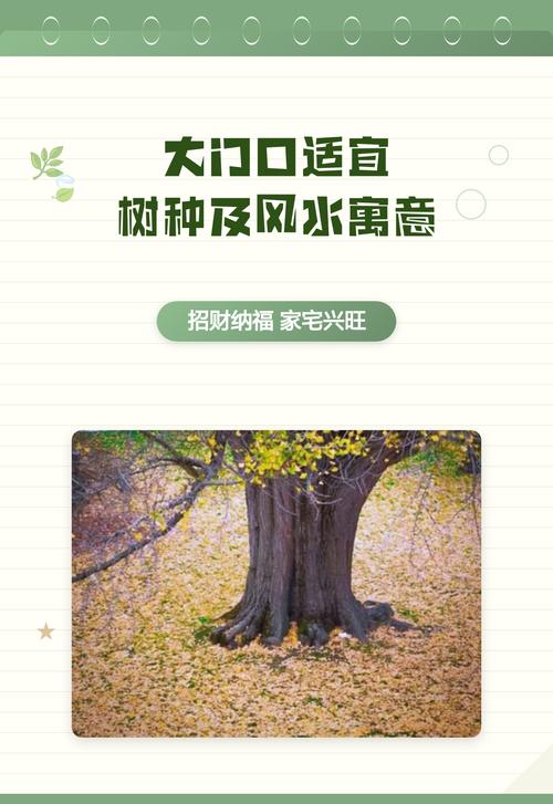 大门前种大树会影响家宅风水吗？