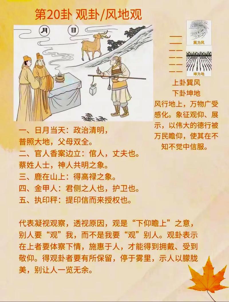 道观会提供占卜和风水服务吗？