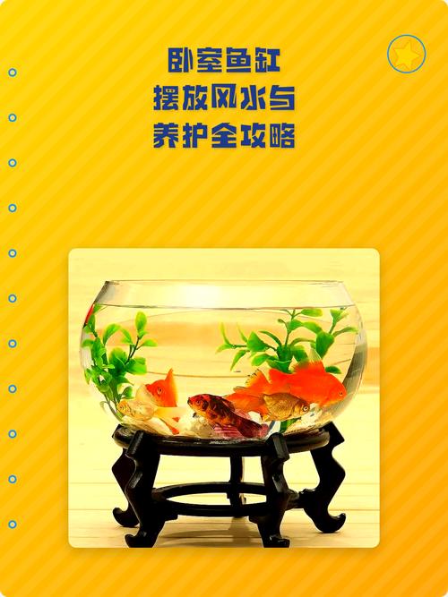 卧室摆放鱼缸的风水有何讲究和注意事项？