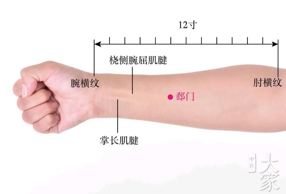 手腕横线与掌横纹腕横纹位置关系如何影响命运？
