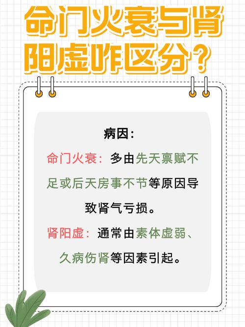 肾阳与命门火有何本质区别？