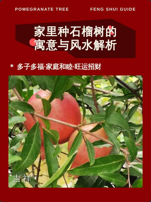 在家种植石榴会对家庭风水产生怎样的影响呢？