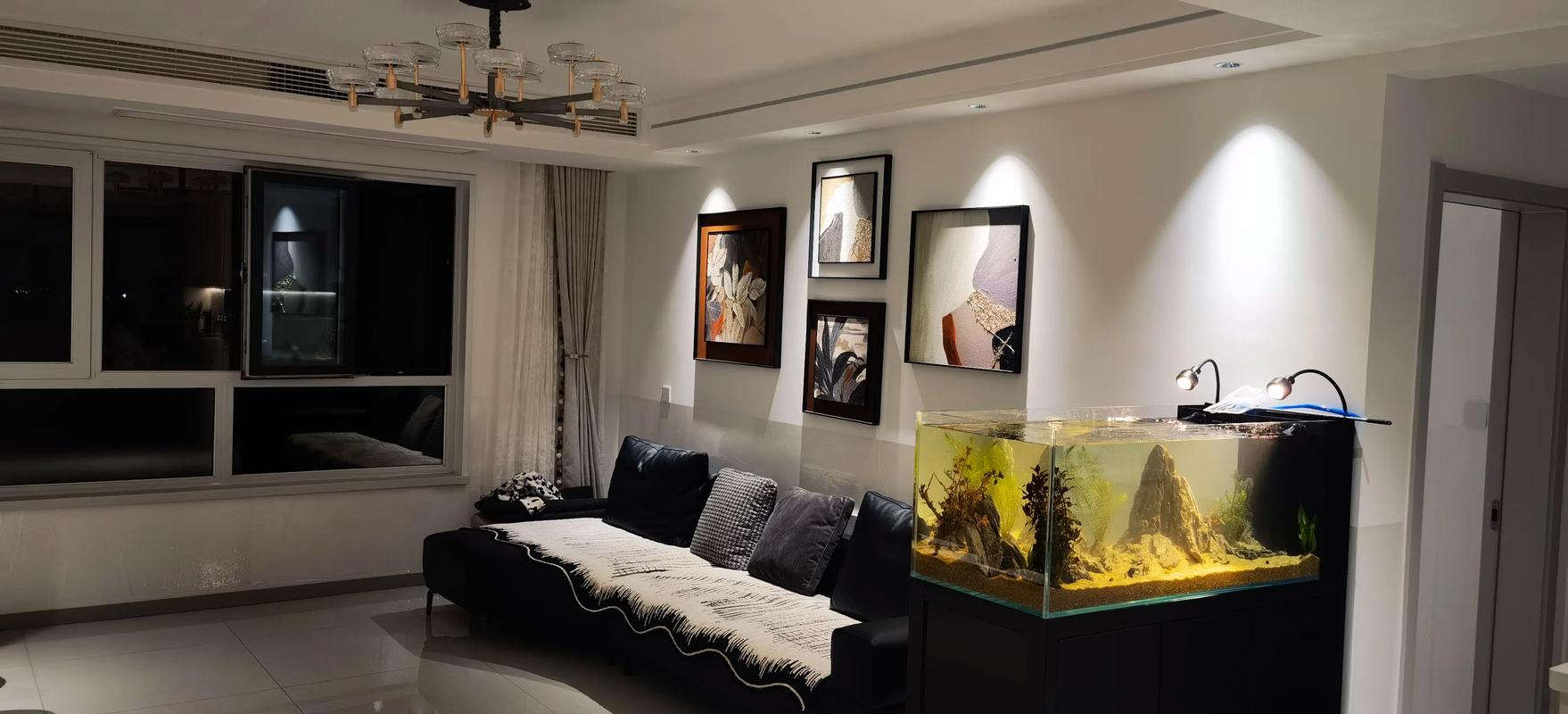 鱼缸里的残疾鱼是否会影响家居风水，带来不好的运势呢？