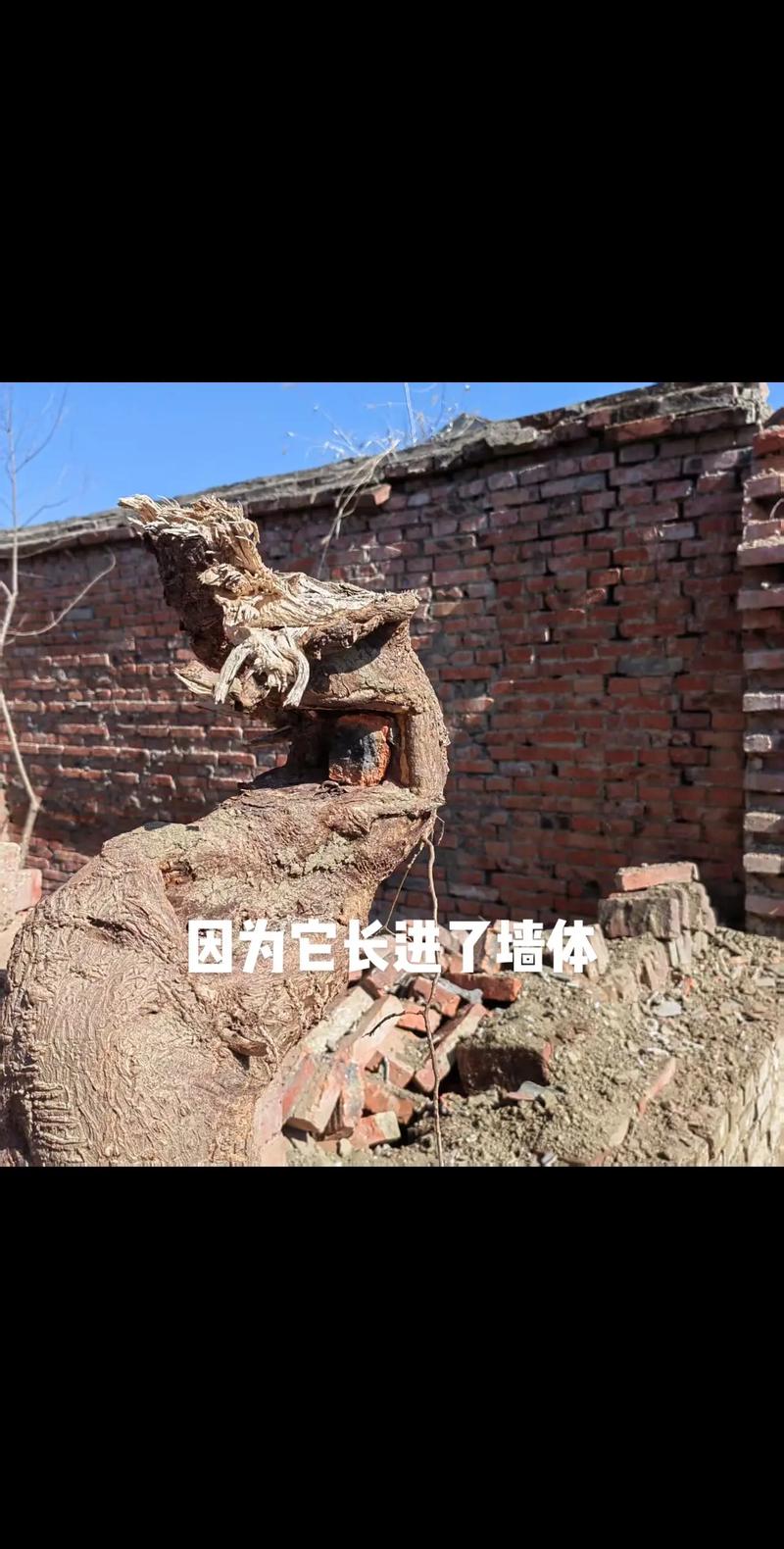 院墙塌了会对家宅风水产生怎样的影响呢？