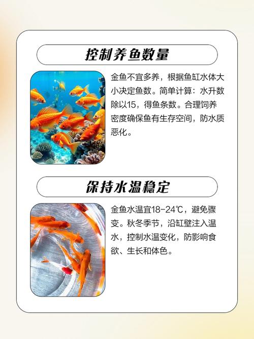 什么样的命不适合养鱼，连鱼的命也是命呢？