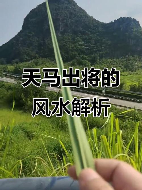 马头在风水上有哪些重要作用？