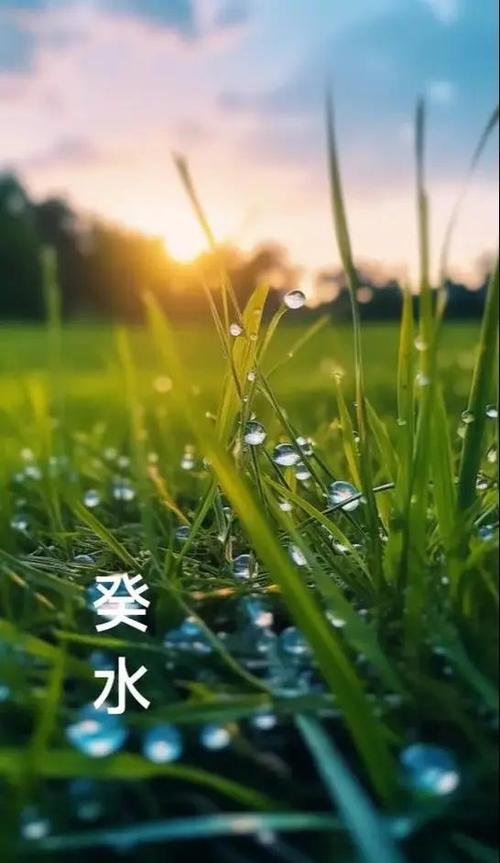水命人适合和哪种命的人做生意？做什么事业更容易发财？