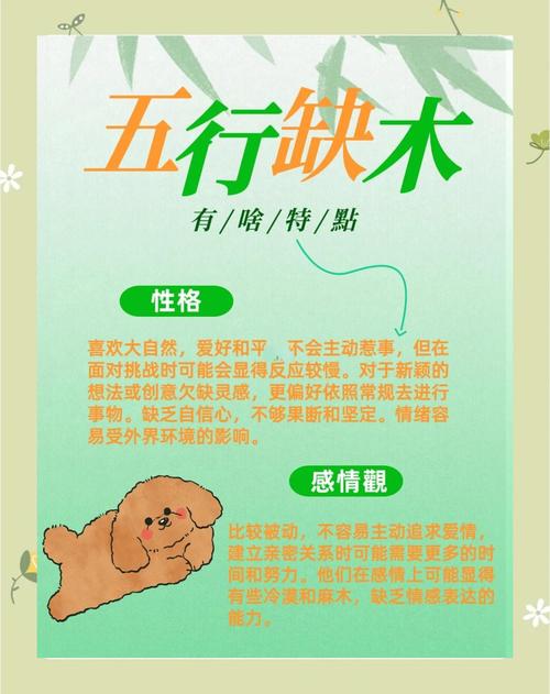 森林木命人缺什么？五行中木命人如何计算并改善所缺元素？