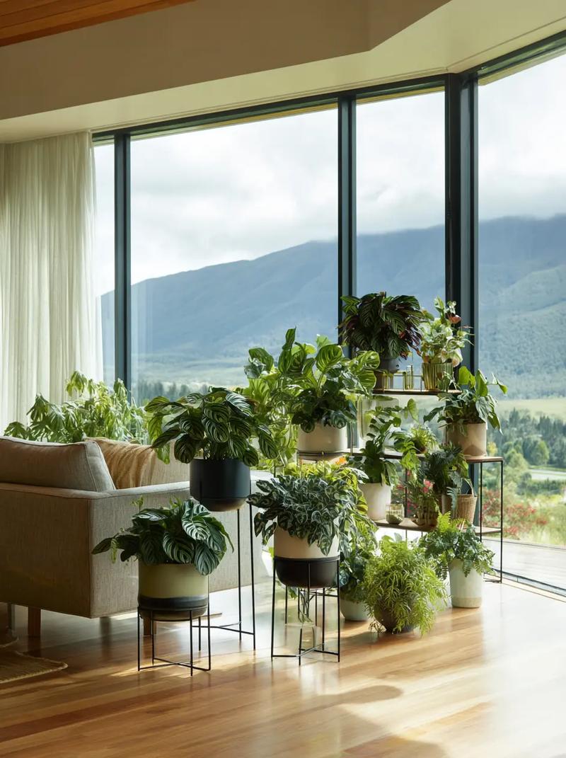 玻璃翠摆放在家中是否会破坏家居风水布局？