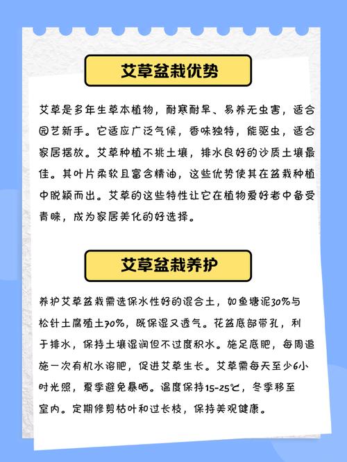 阳台种植艾草会对家居风水产生哪些不利影响？