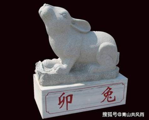 在风水学中，三层楼养兔子有哪些忌讳需要注意？