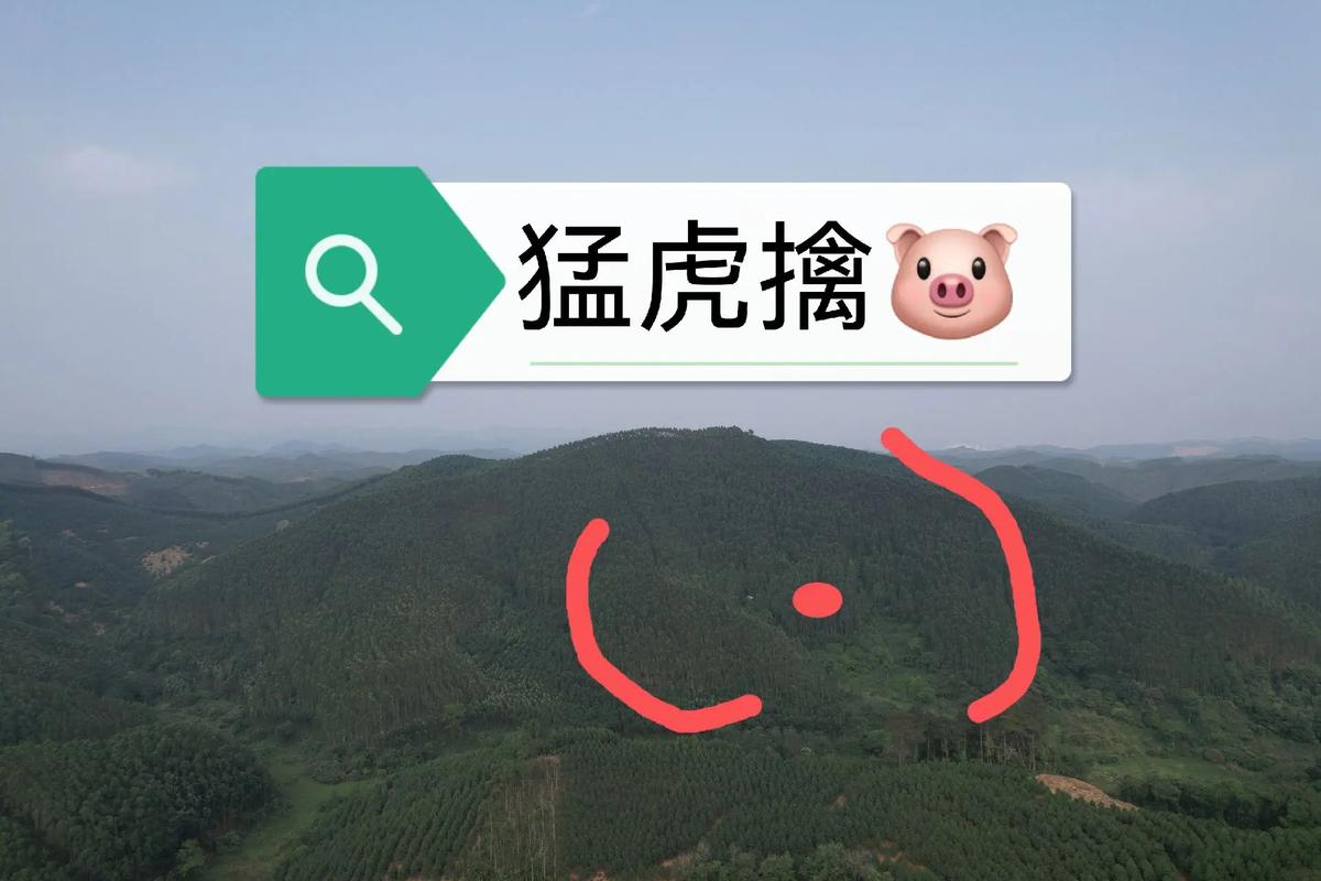 在坟地养猪风水会好吗？有什么讲究？